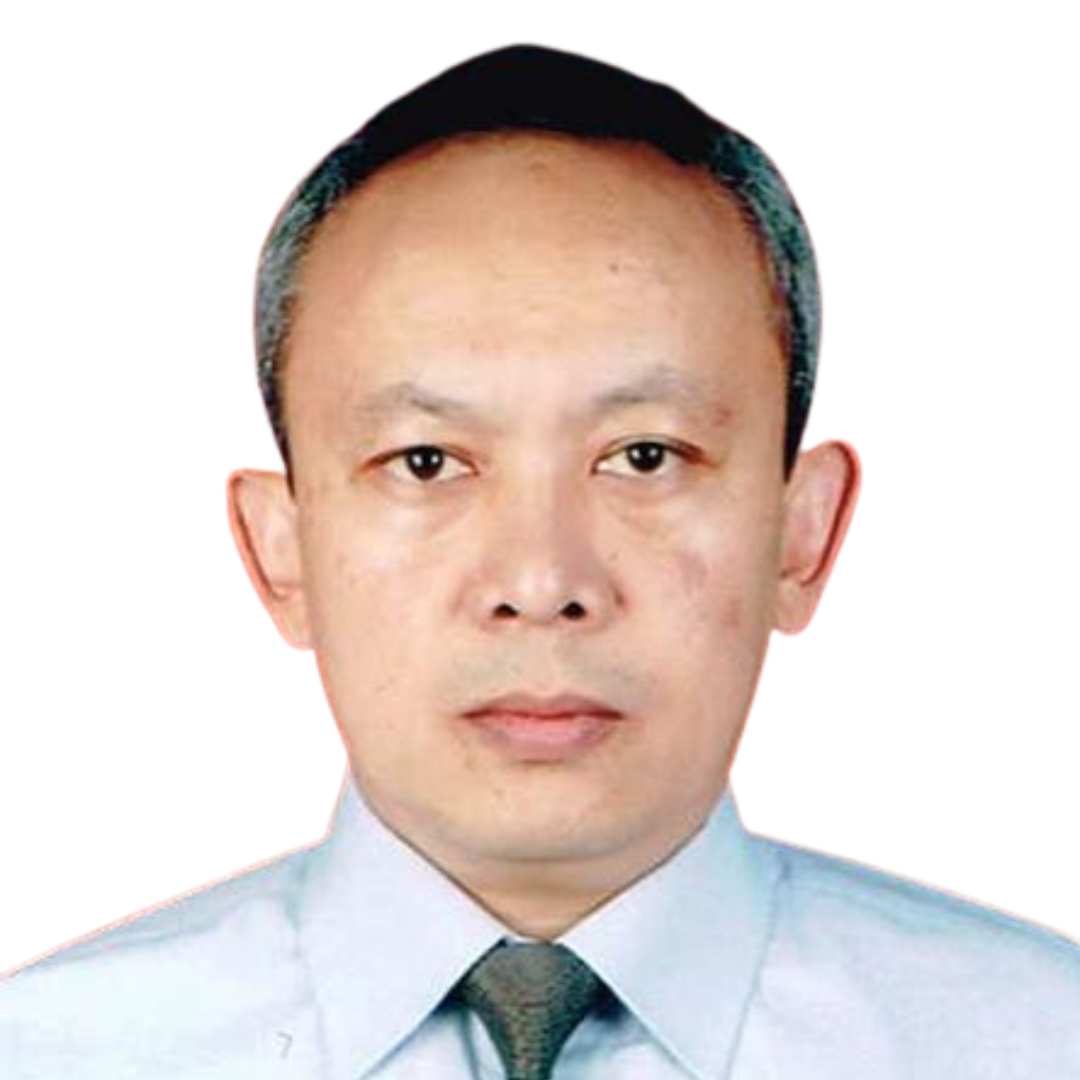 OLLY VERTUS HASUDUNGAN IR.,MM.